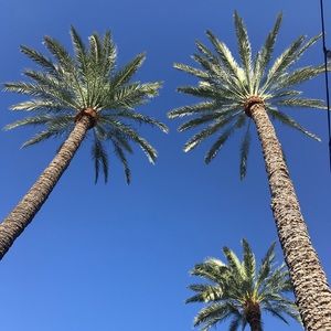 Meet your Posher, Diane